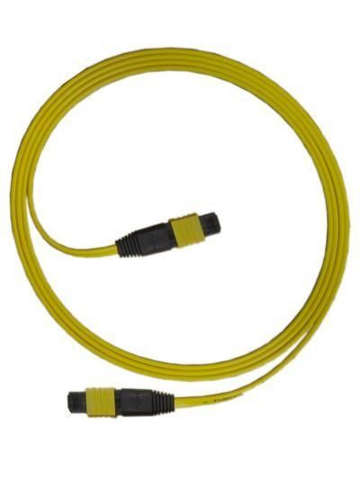24-żyłowy kabel światłowodowy SM MTP Typ wyjścia wentylatora dla sieci CATV / sieci komputerowych