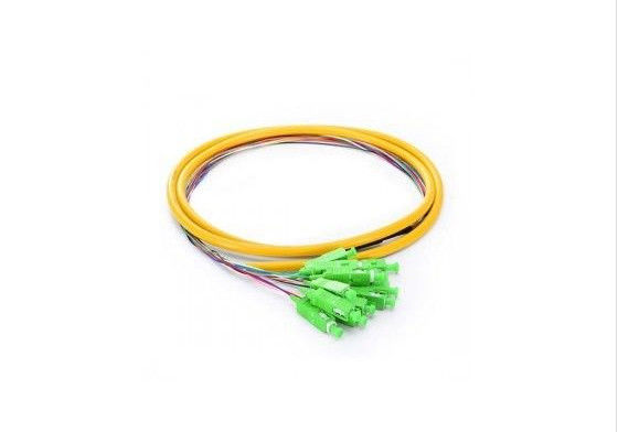 SM SX pigtail kablowy 0,9 mm, 12 rdzeniowych krótkich pigtaili z wentylatorem o wysokiej stabilności temperaturowej dostawca