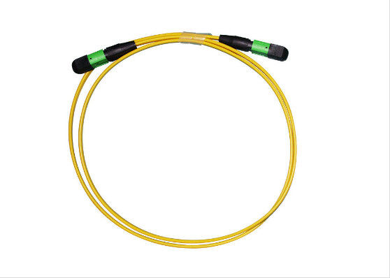 Męski / UPC MPO Patch Cord Compact SMF 2 - 24 rdzeni IS0 / ROHS Wymienione Trwałe dostawca